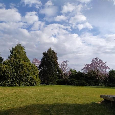 Domaine Moulin D' Elemiah Lägenhet Gémozac Exteriör bild