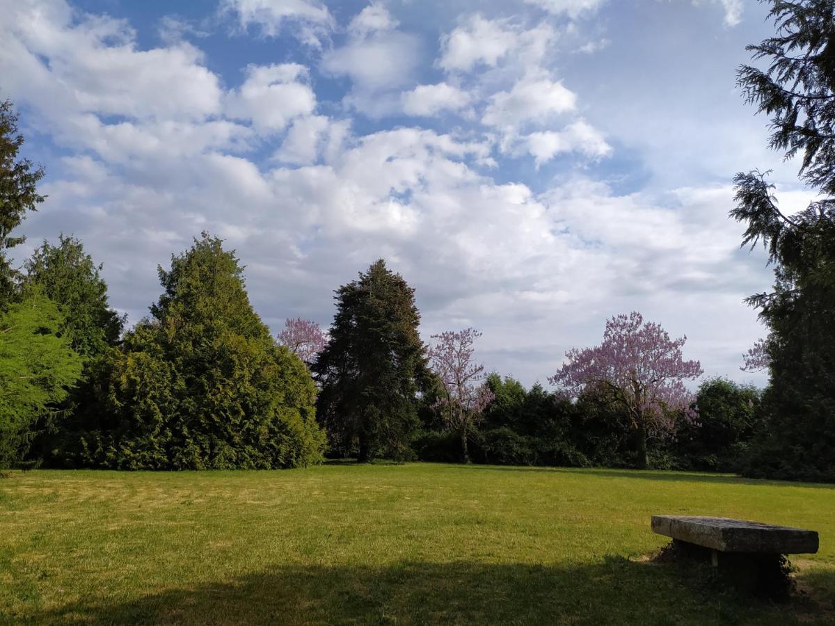 Domaine Moulin D' Elemiah Lägenhet Gémozac Exteriör bild